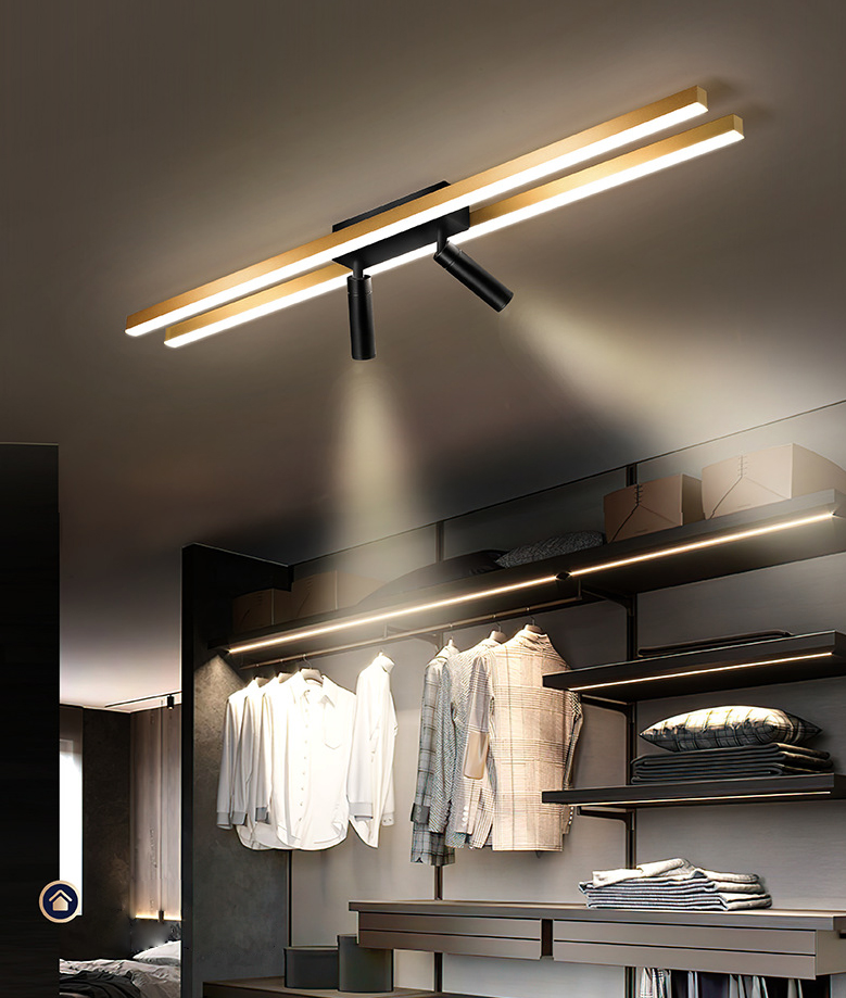 Montaggio a semi-incasso a LED in alluminio dorato in stile moderno e creativo Apparecchio da soffitto a 2 luci per luoghi commerciali