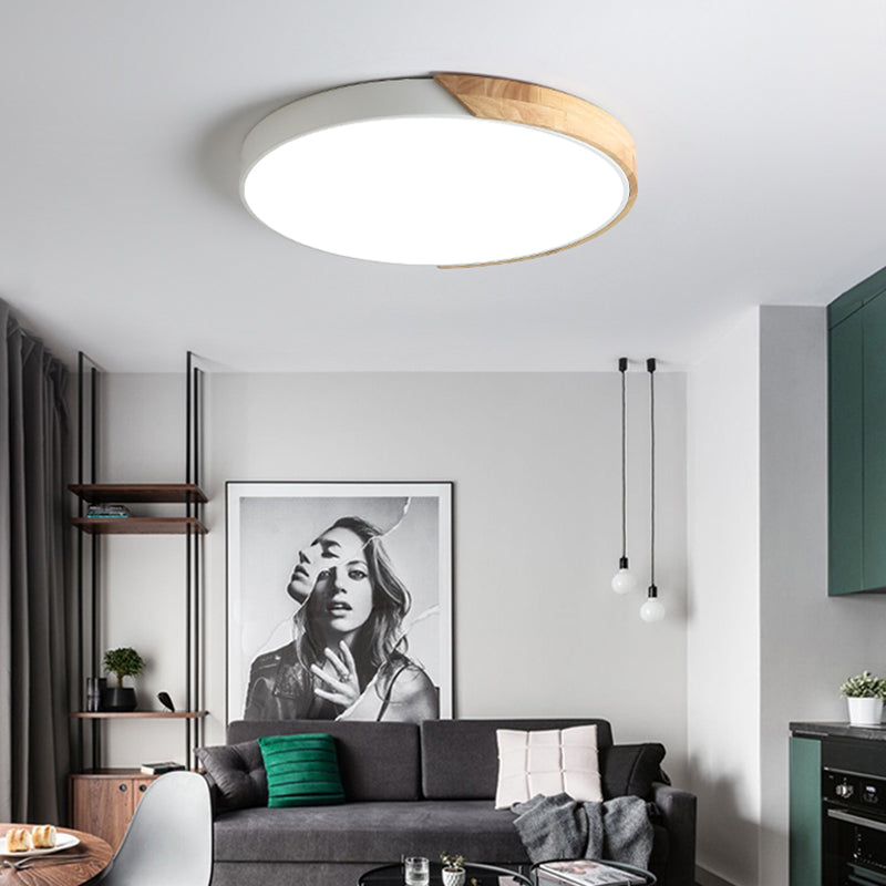 Rounded Shape 1-Light LED Flush Light New Modern Iron Flush Mount Ceiling Light Fixtures