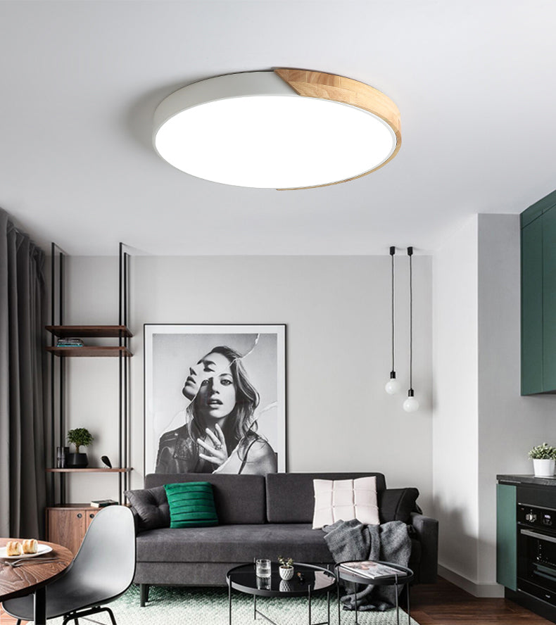Rounded Shape 1-Light LED Flush Light New Modern Iron Flush Mount Ceiling Light Fixtures