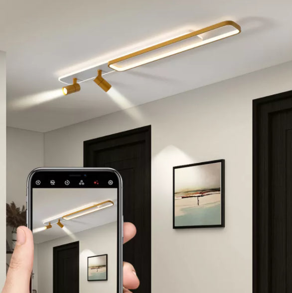 Modern Minimalist Style Linear LED Flush Mount Spotlight Acrylic Flush Ceiling Light