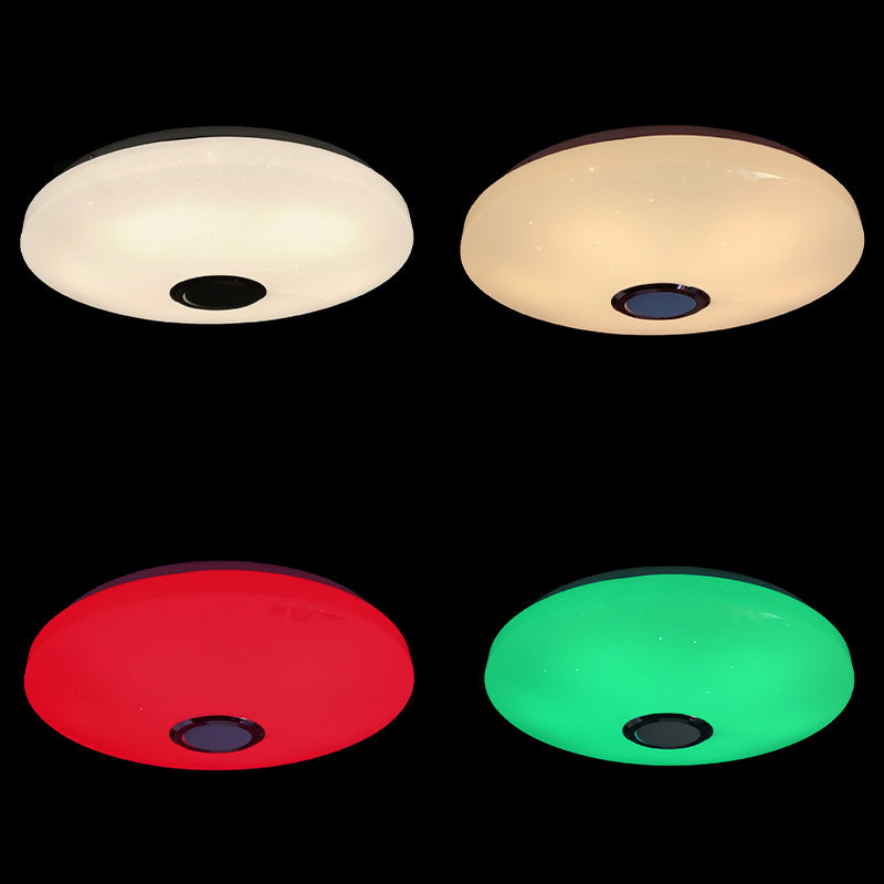 Ceiling Light Fixture Phone Control Light Bluetooth LED Light Living Room Light Indoor Light