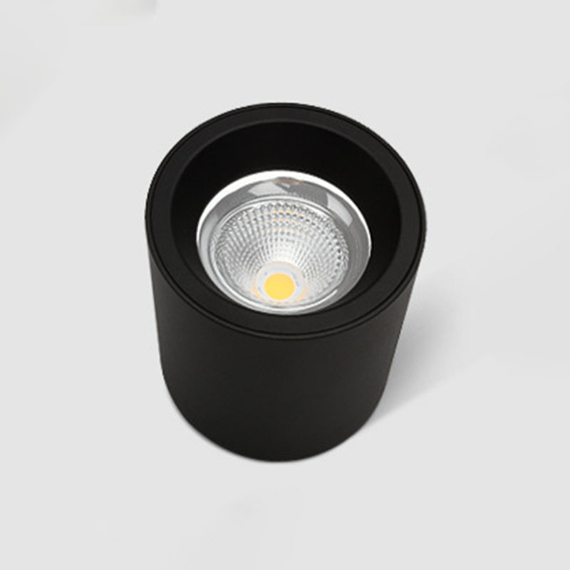 Cilindrische Aluminium Flush Mount Eenvoud Led oppervlak Mount Plafond Licht voor Foyer