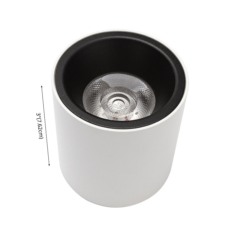 Cilindrische Aluminium Flush Mount Eenvoud Led oppervlak Mount Plafond Licht voor Foyer