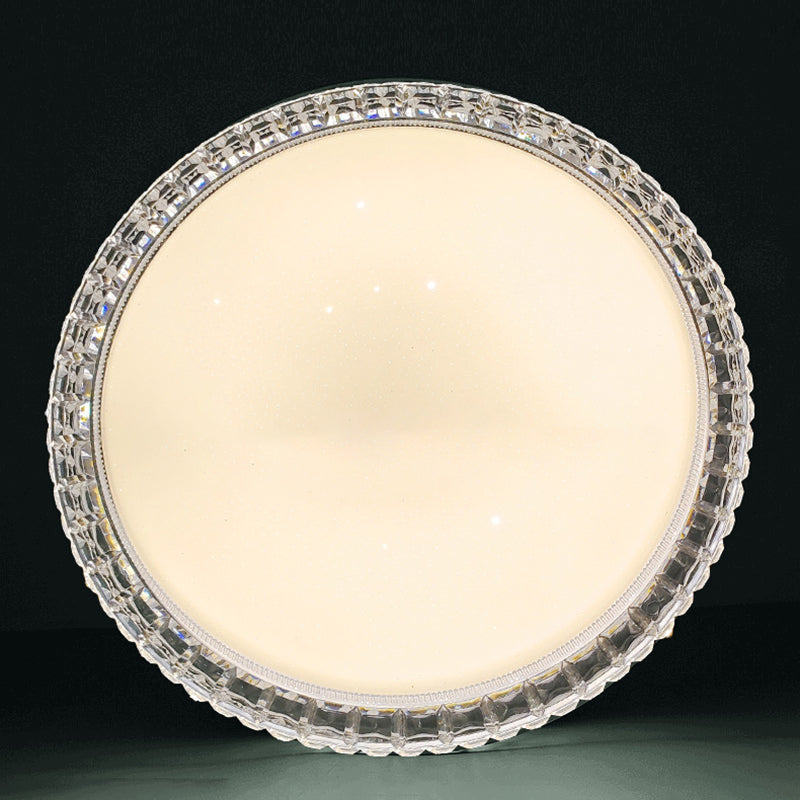 Flush Mount RGB Ceiling Light Bluetooth Music Ceiling Lamp Bathroom Bedroom Foyer LED Light