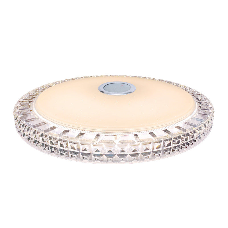 Flush Mount RGB Ceiling Light Bluetooth Music Ceiling Lamp Bathroom Bedroom Foyer LED Light
