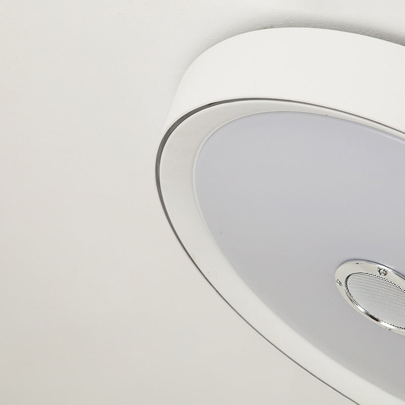 Flush Mount Ceiling Fixture LED Light Smart Mobile Phone Control Foyer Light Room Light