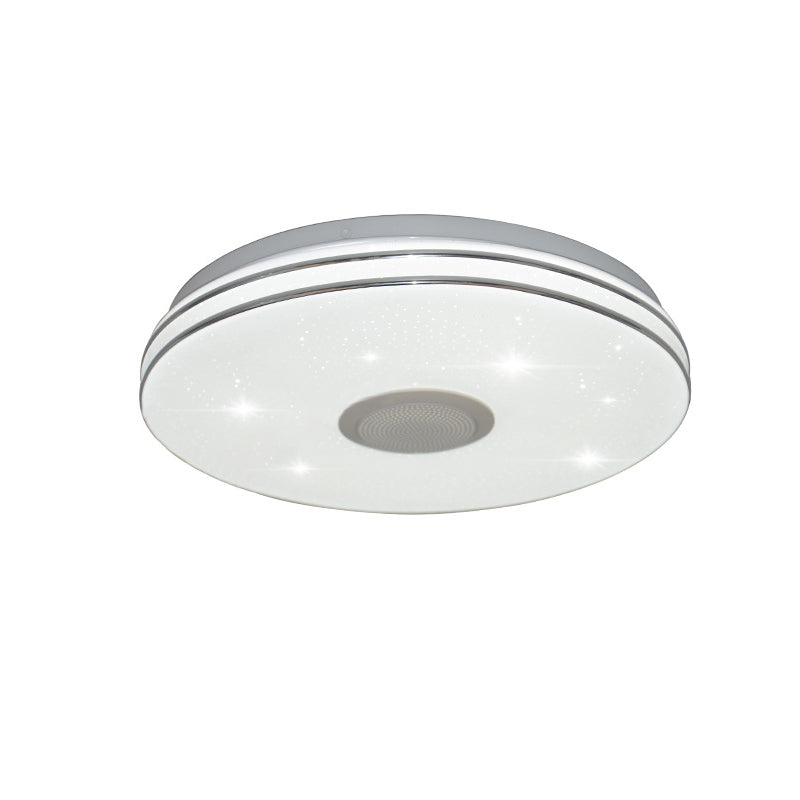 Flush Mount Ceiling Light Light Phone Control Light Bluetooth LED Light Living Room Bedroom Light