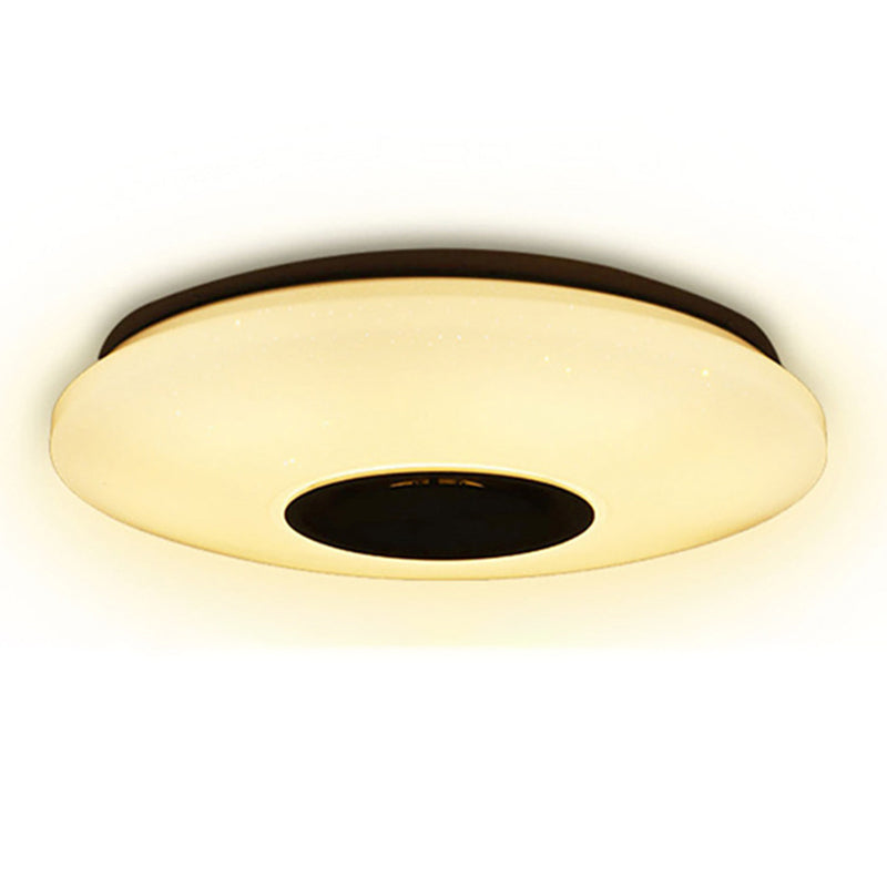 Modern Style Flush Mount Fixture LED Ceiling Light Smart Bluetooth Music Ceiling Lamp