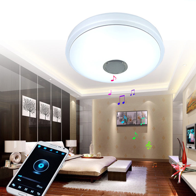 Flush Mount Ceiling Light Smart Bluetooth Music Ceiling Light Bedroom Light