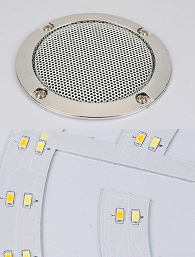 Flush Mount Ceiling Light Smart Bluetooth Music Ceiling Light Bedroom Light