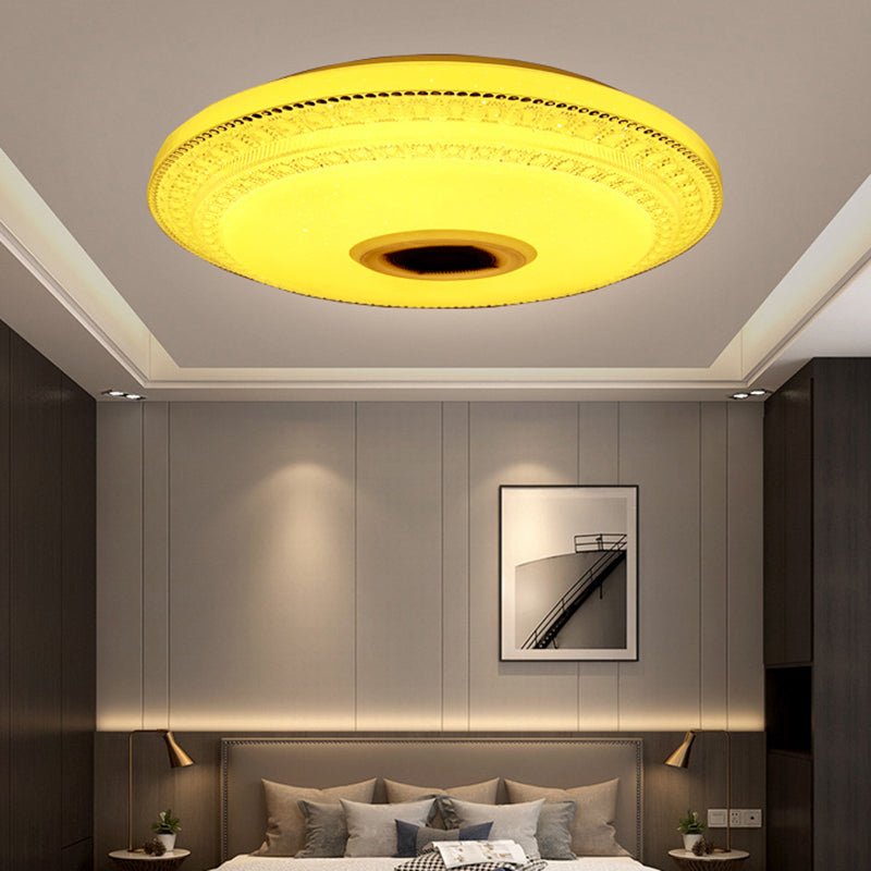 Modern Flush Mount Ceiling Light Phone Control Light Foyer Light Shop Light