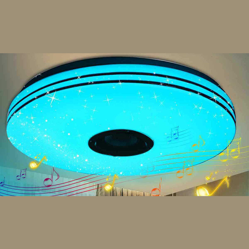 Flush Mount Ceiling Light Phone Control Light Bluetooth LED Light Bedroom Light