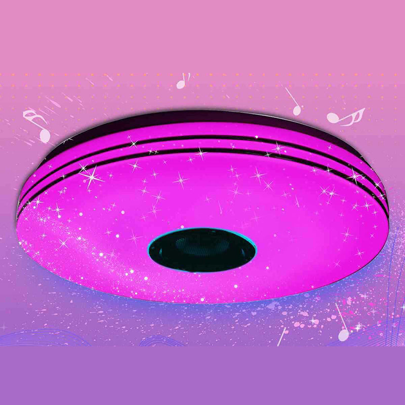 Flush Mount Ceiling Light Phone Control Light Bluetooth LED Light Bedroom Light