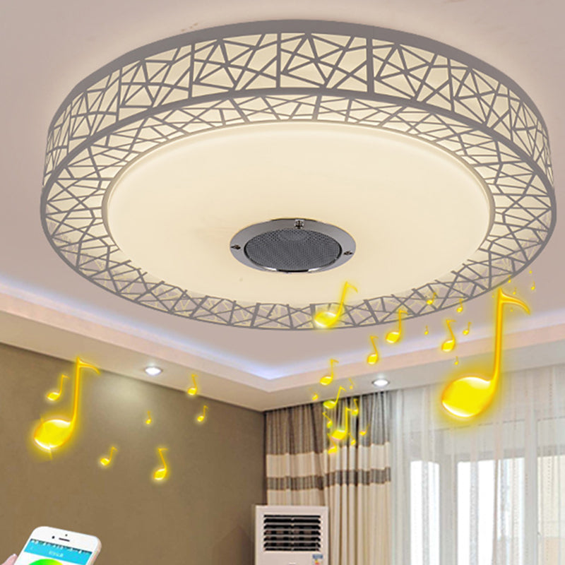 Flush Mount Ceiling Fixture LED Light Smart Mobile Phone Control Foyer Light Room Light