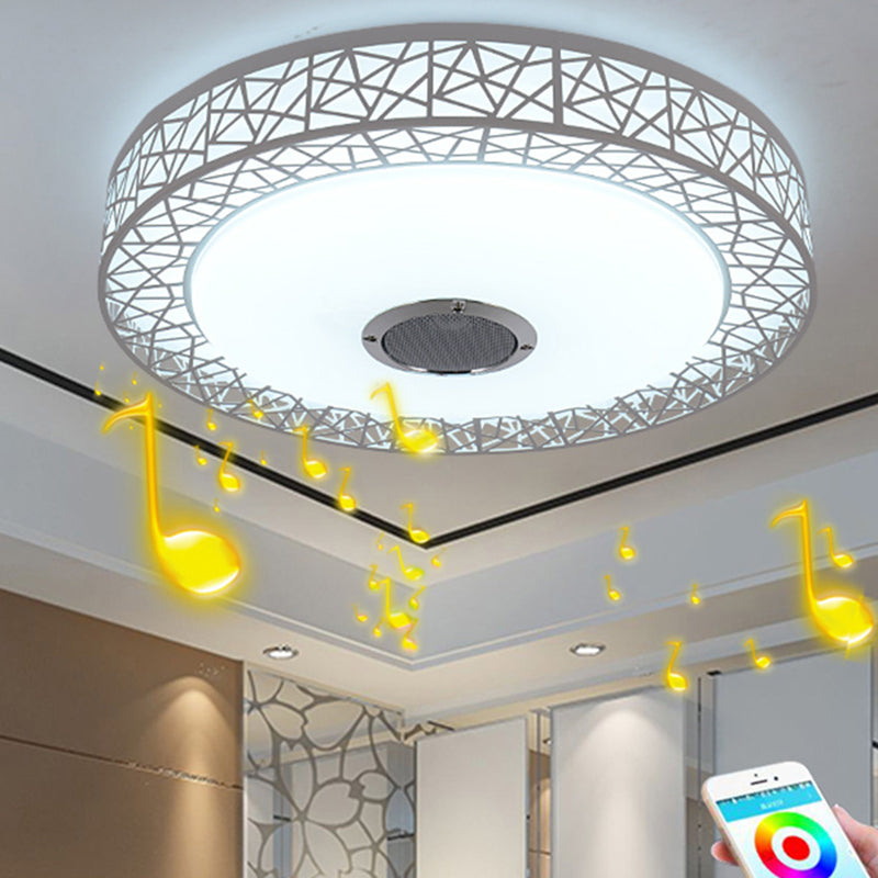 Flush Mount Ceiling Fixture LED Light Smart Mobile Phone Control Foyer Light Room Light