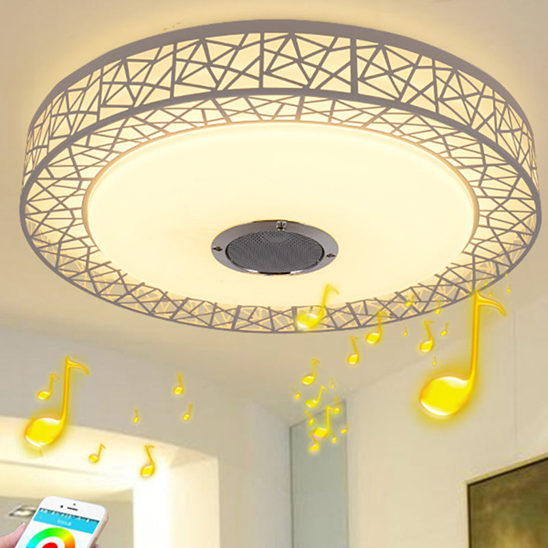 Flush Mount Ceiling Fixture LED Light Smart Mobile Phone Control Foyer Light Room Light