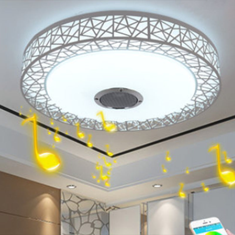 Flush Mount Ceiling Fixture LED Light Smart Mobile Phone Control Foyer Light Room Light