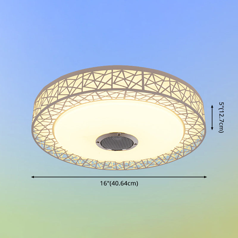 Flush Mount Ceiling Fixture LED Light Smart Mobile Phone Control Foyer Light Room Light