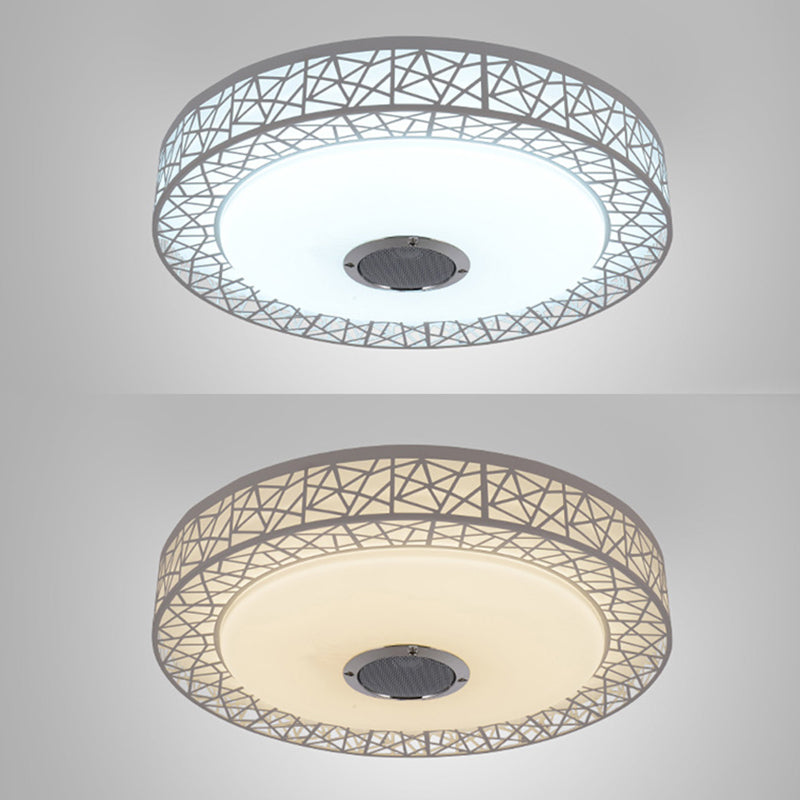 Flush Mount Ceiling Fixture LED Light Smart Mobile Phone Control Foyer Light Room Light