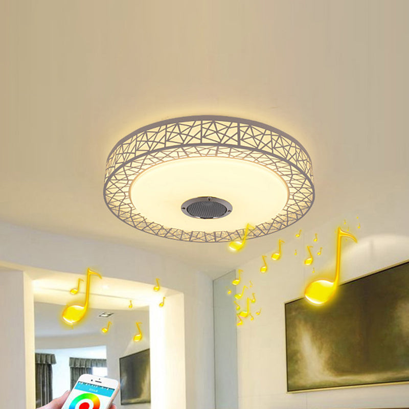 Flush Mount Ceiling Fixture LED Light Smart Mobile Phone Control Foyer Light Room Light