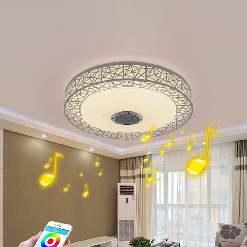 Flush Mount Ceiling Fixture LED Light Smart Mobile Phone Control Foyer Light Room Light