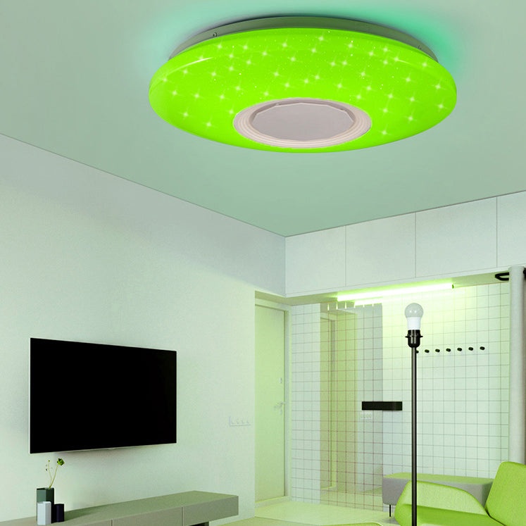 Modern Minimalist Style LED Flush Mount Ceiling Fixture Phone Control Light Bedroom Light