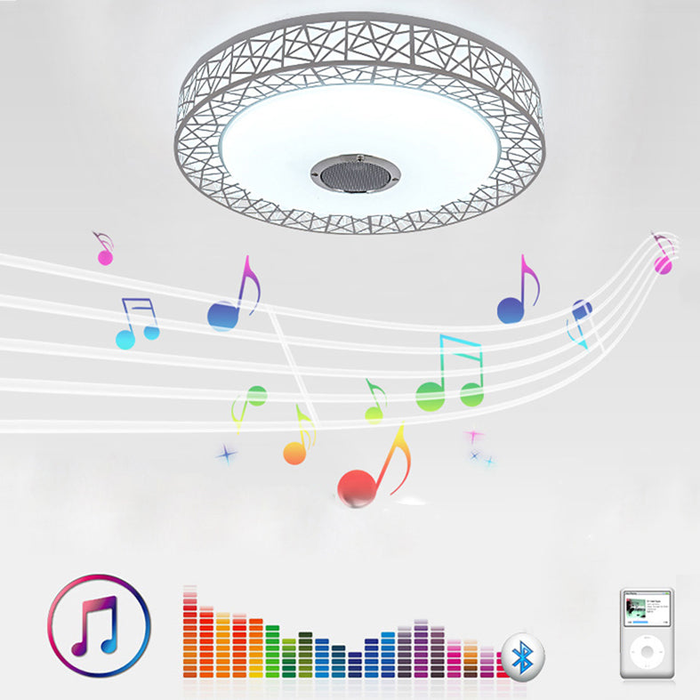 Flush Mount Ceiling Fixture LED Light Smart Mobile Phone Control Foyer Light Room Light