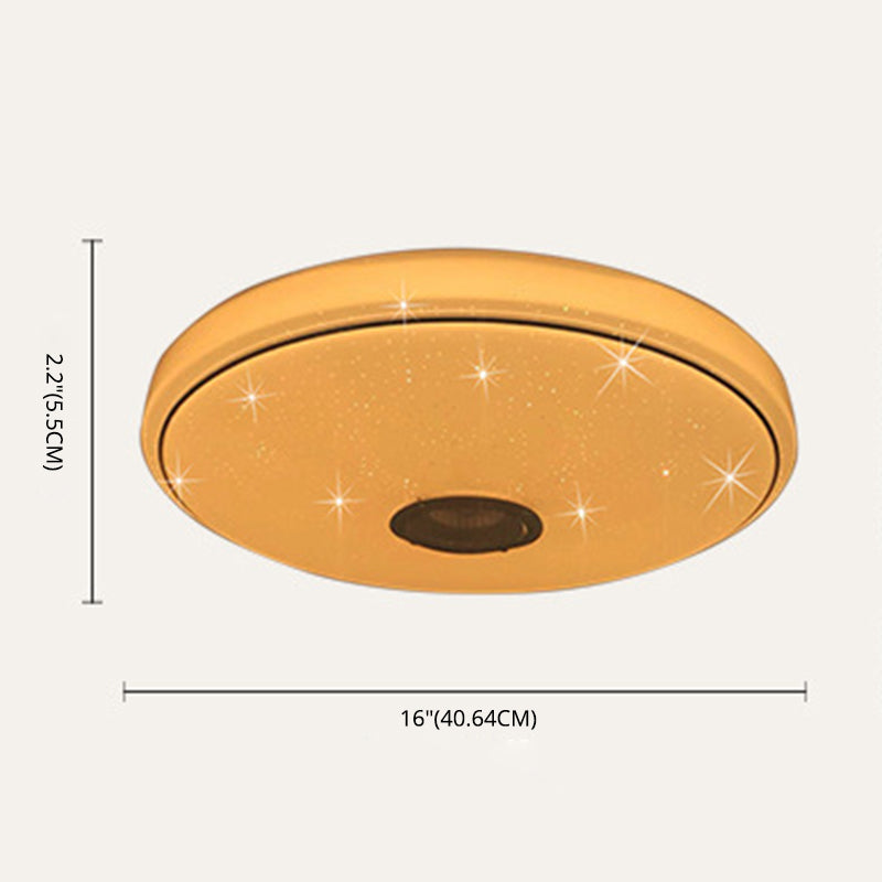 LED Flush Mount Ceiling Light Smart Mobile Phone Control Shop Light Room Light