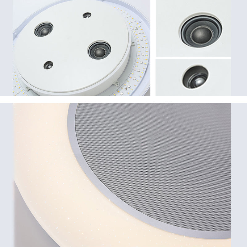 Flush Mount Ceiling Fixture LED Light Smart Mobile Phone Control Indoor Bedroom Light