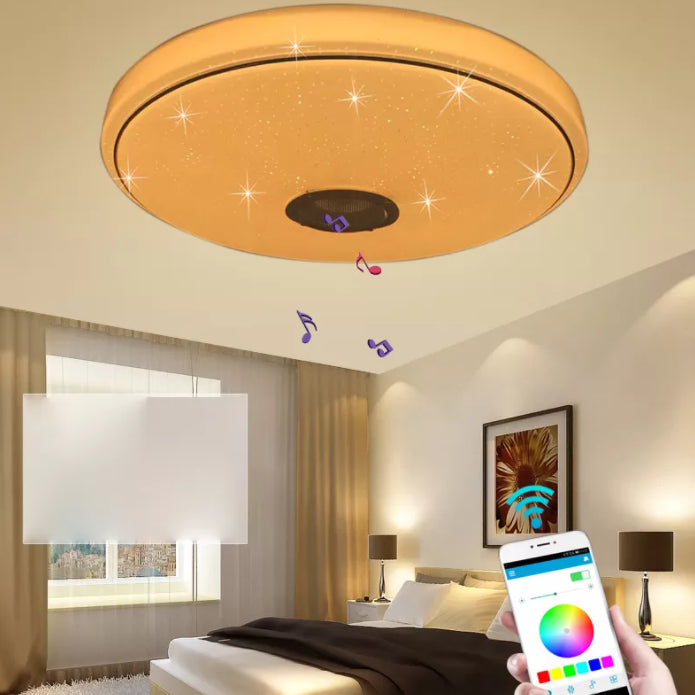 LED Flush Mount Ceiling Light Smart Mobile Phone Control Shop Light Room Light