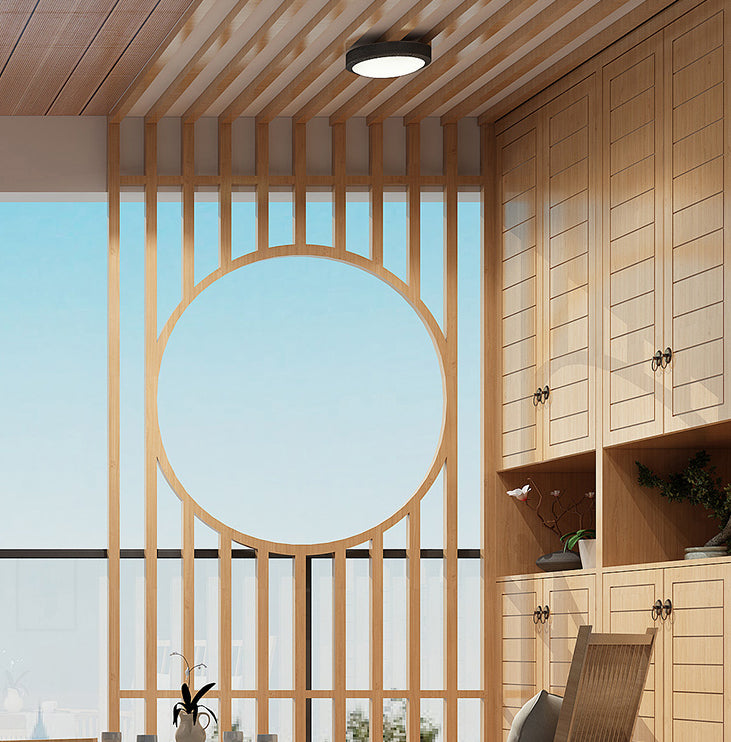 Minimalist Drum LED Flush Mount Light Aluminum Outdoor Flush Mount Ceiling Light