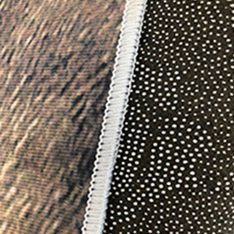 Living Room Indoor Rug Abstract Printing Area Carpet Polyester Non-Slip Backing Carpet