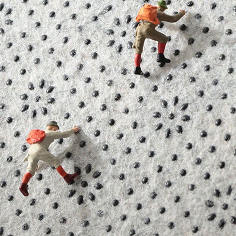 White Tone Modern Area Carpet Polyester Floral Print Indoor Rug Anti-Slip Backing Carpet for Living Room