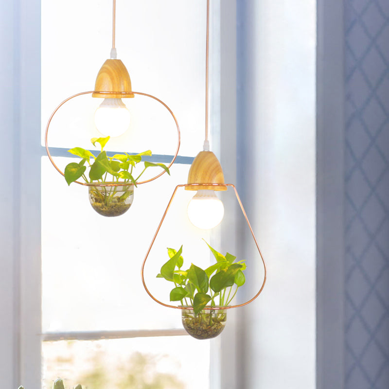 Luce sospesa in stile nordico con piatto di pianta di vetro piatto a sospensione creativa (senza piante)