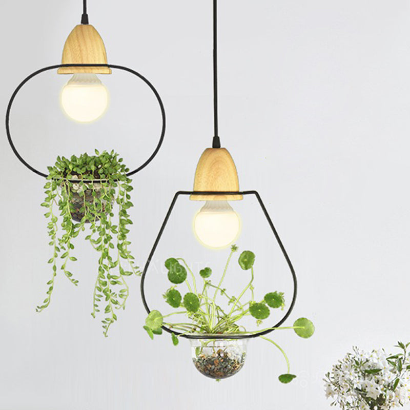 Luce sospesa in stile nordico con piatto di pianta di vetro piatto a sospensione creativa (senza piante)