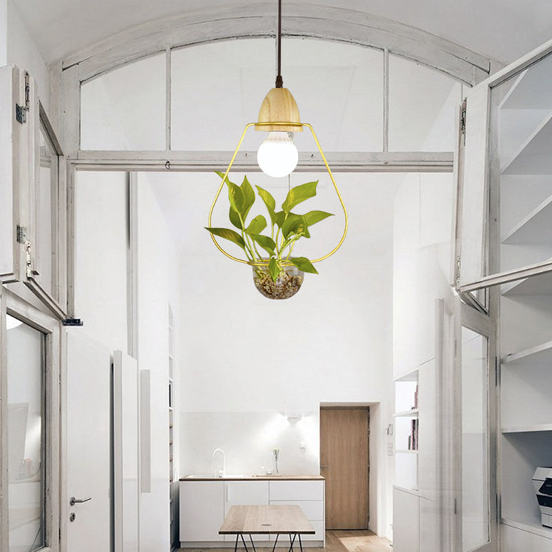 Luce sospesa in stile nordico con piatto di pianta di vetro piatto a sospensione creativa (senza piante)