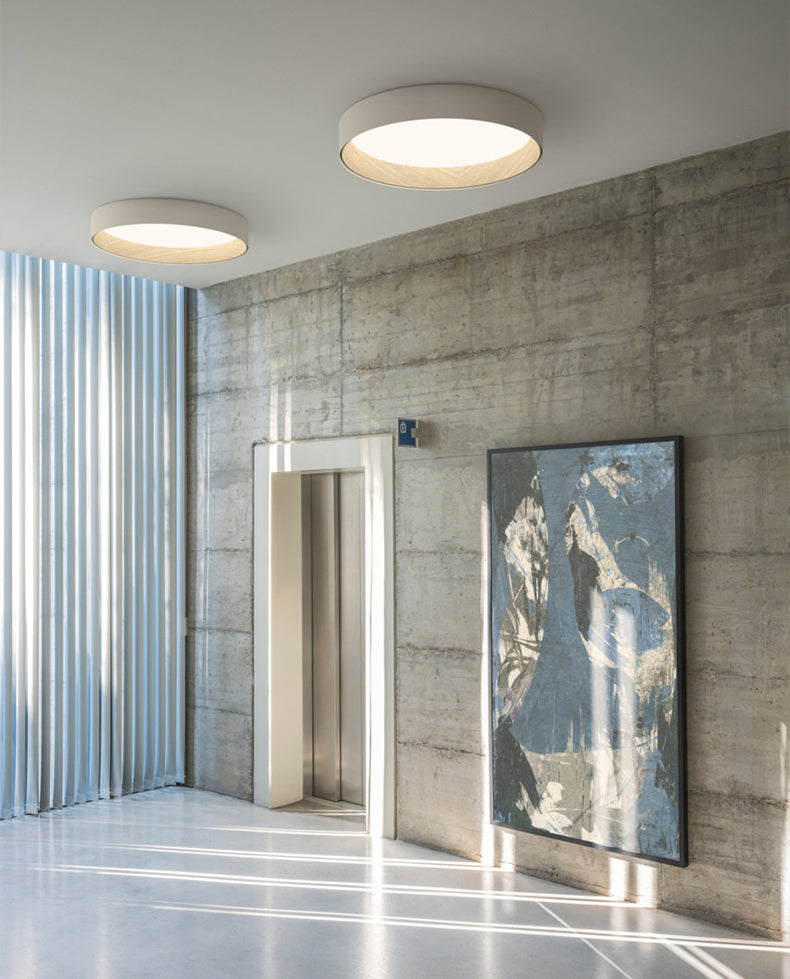 Minimalism Aluminum LED Ceiling Mounted Light Cylinder 1-Light Flush Light for Living Room