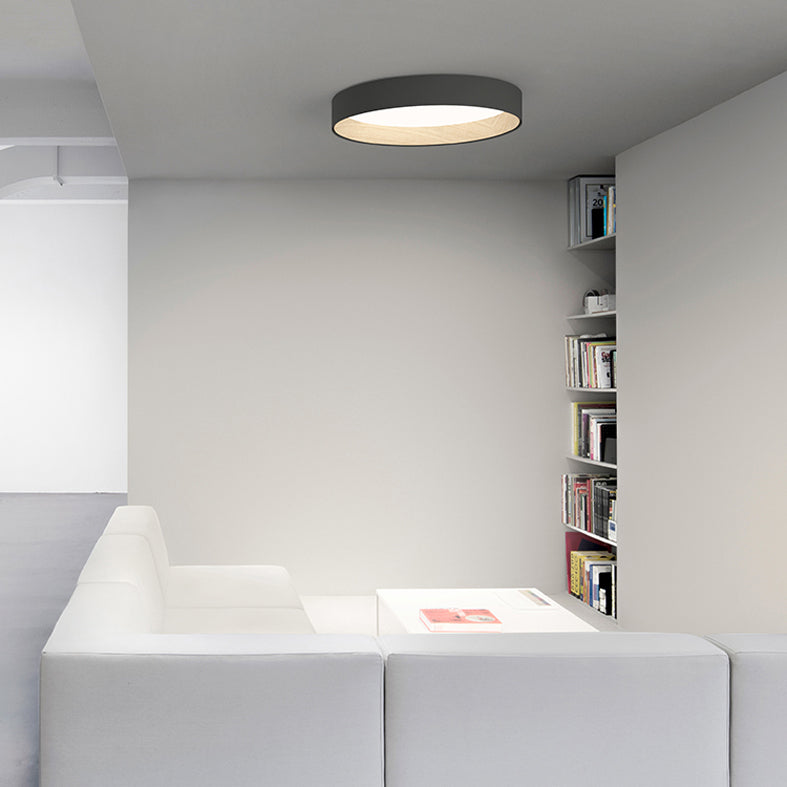 Minimalism Aluminum LED Ceiling Mounted Light Cylinder 1-Light Flush Light for Living Room