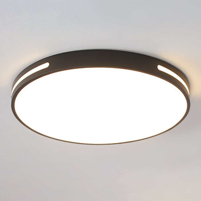 Lámpara de techo nórdica moderna y sencilla personalidad estudio de Sala de estar LED ultradelgado lámpara de ahorro de energía de caballo de hierro