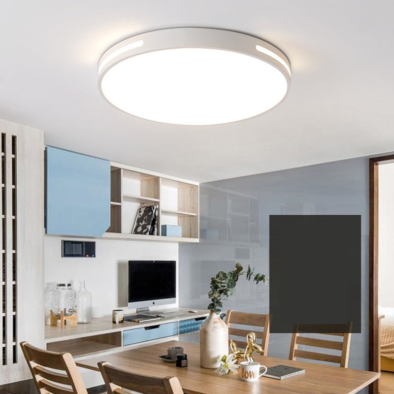 Lámpara de techo nórdica moderna y sencilla personalidad estudio de Sala de estar LED ultradelgado lámpara de ahorro de energía de caballo de hierro