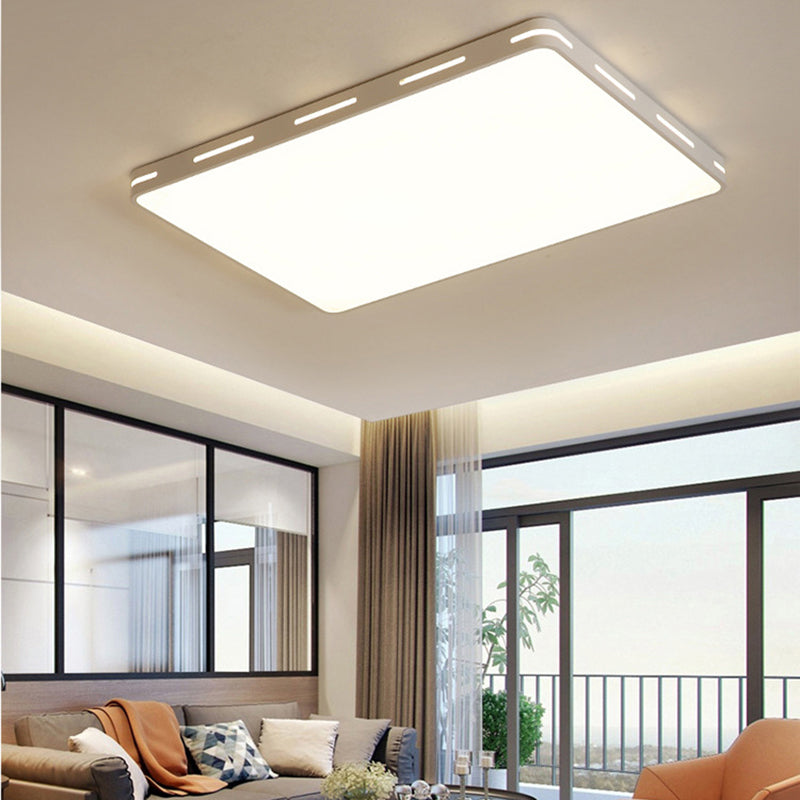 Lámpara de techo nórdica moderna y sencilla personalidad estudio de Sala de estar LED ultradelgado lámpara de ahorro de energía de caballo de hierro