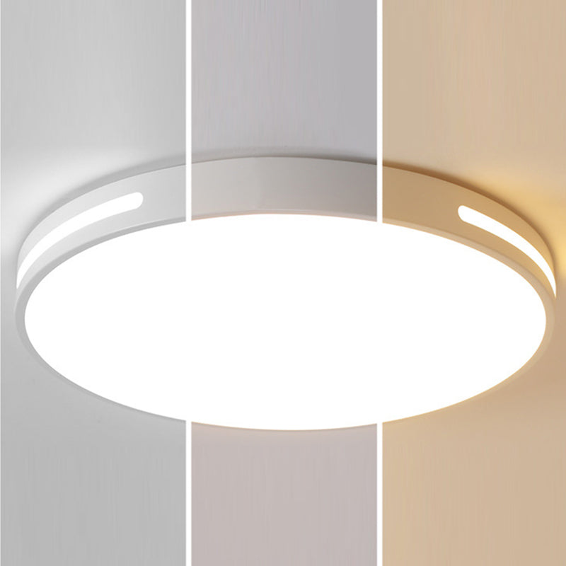 Lámpara de techo nórdica moderna y sencilla personalidad estudio de Sala de estar LED ultradelgado lámpara de ahorro de energía de caballo de hierro