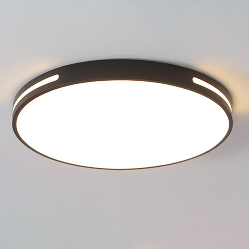 Lámpara de techo nórdica moderna y sencilla personalidad estudio de Sala de estar LED ultradelgado lámpara de ahorro de energía de caballo de hierro