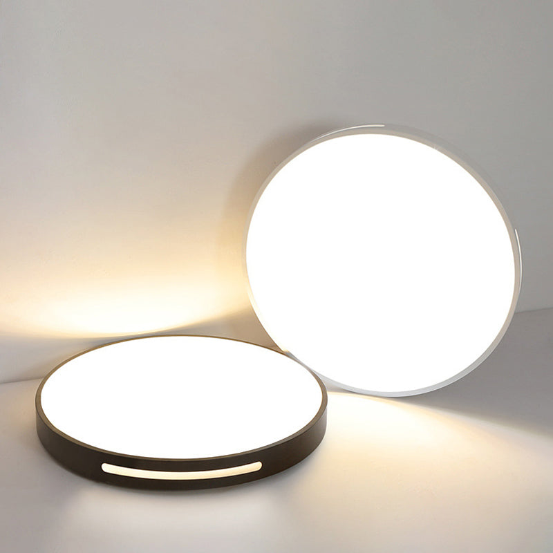 Lámpara de techo nórdica moderna y sencilla personalidad estudio de Sala de estar LED ultradelgado lámpara de ahorro de energía de caballo de hierro