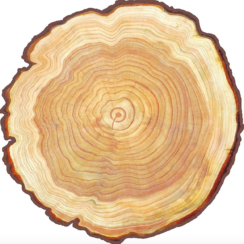 Nouveauté de couleur mixte de tapis d'intérieur moderne polyester 3d tapis de soins faciles à imprimer pour décoration de la maison