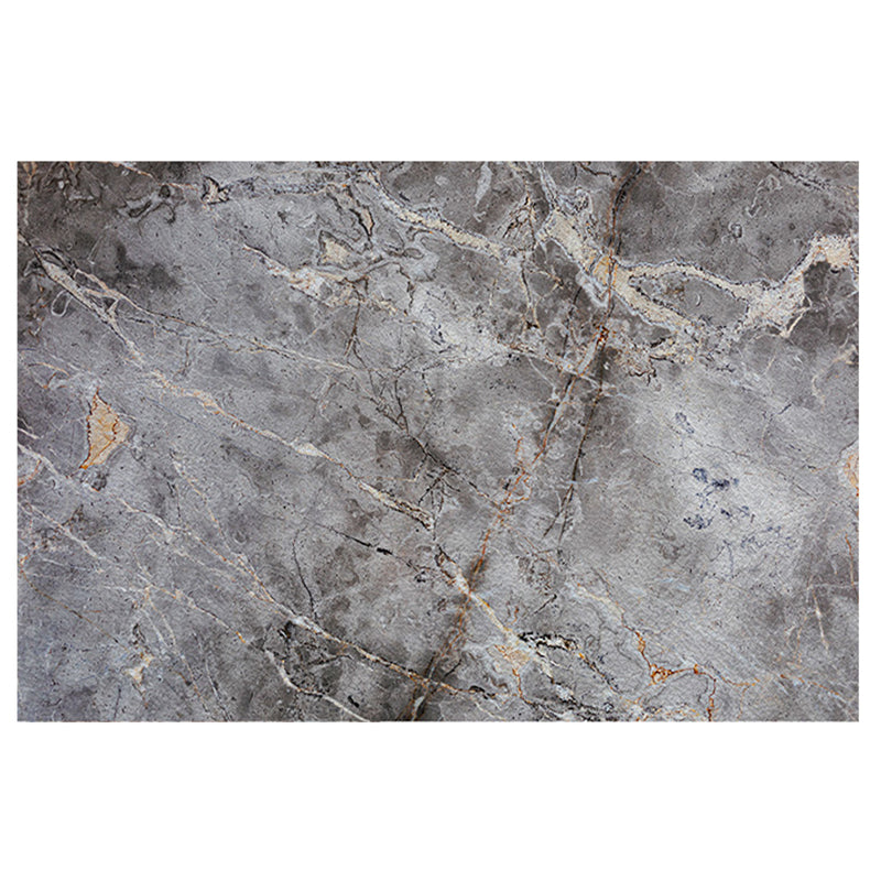 Color Mixed Simplicity Area Carpet Polyester Marbling Print Indoor Rug Anti-Slip Backing Carpet for Living Room