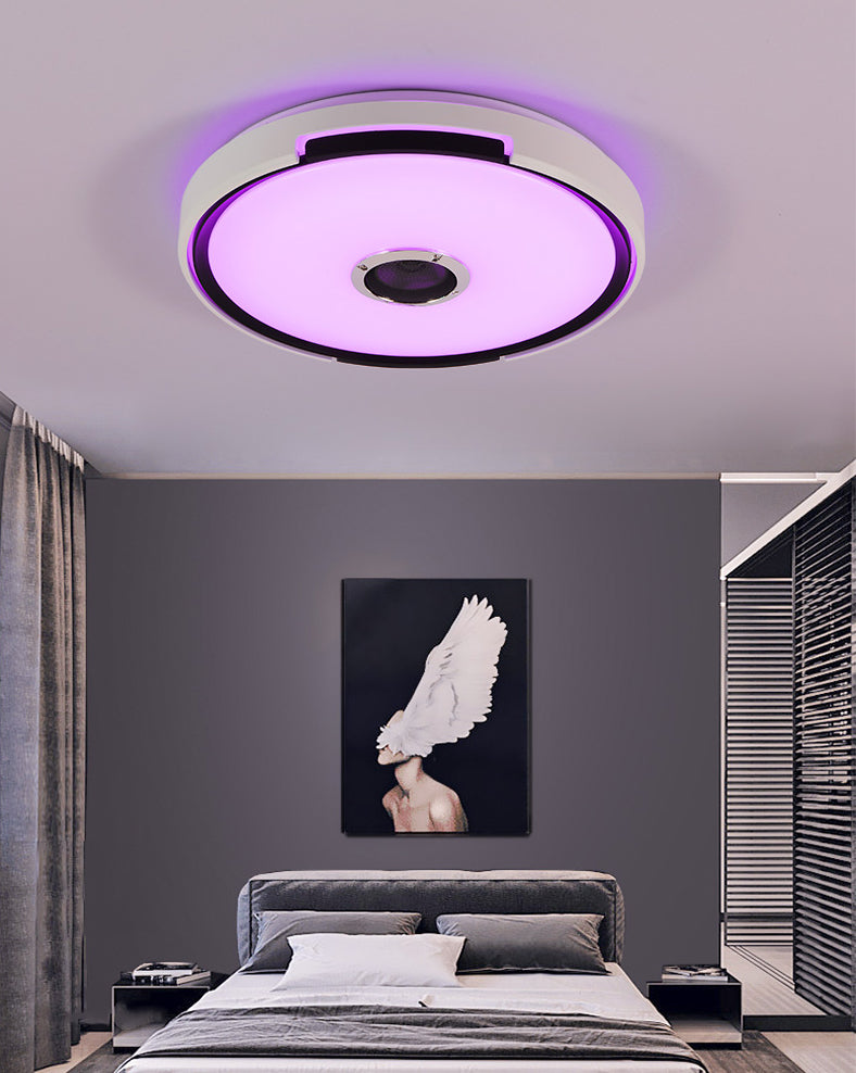 Flush Mount Ceiling Fixture LED Light Smart Mobile Phone Control Foyer Light Room Light