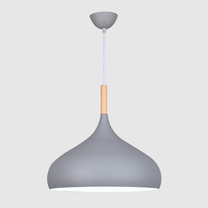 Kuppel Anhänger Beleuchtungsbestand