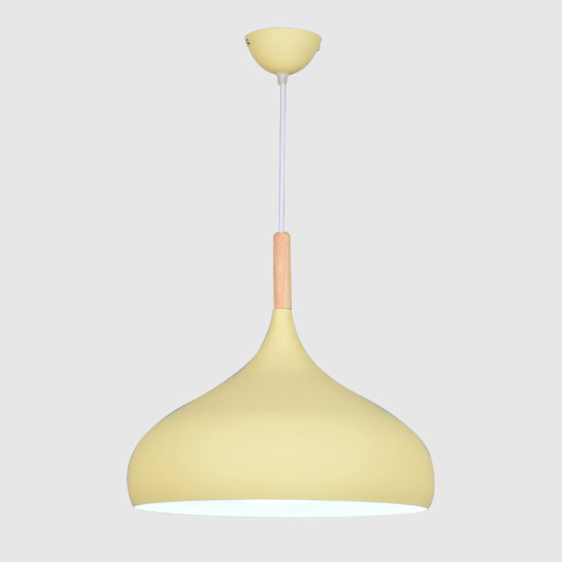 Kuppel Anhänger Beleuchtungsbestand