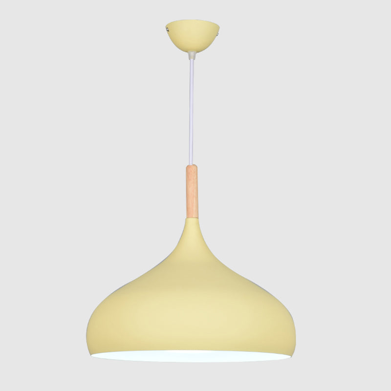 Kuppel Anhänger Beleuchtungsbestand